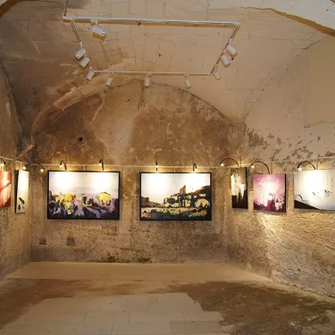 Écharpe d'Iris à la salle Manville aux Baux de Provence