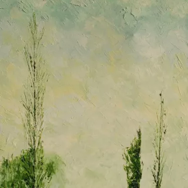 Petit Rhône and green poplars