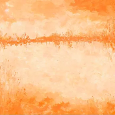 Petit Rhône at the dawn of an orange sun