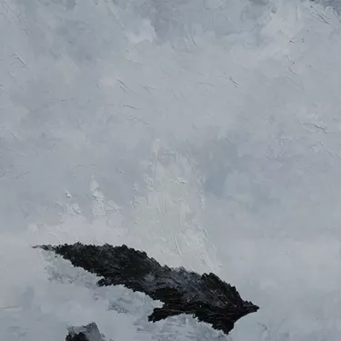 Petit Rhône moment frozen in black