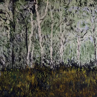 Autumn in the forest