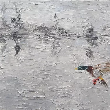 The flight of the duck